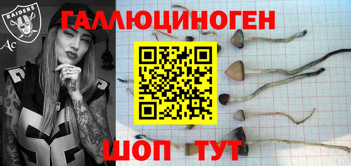Дербент  Галлюциногенные грибы Cubensis  Вход с VPN  Псилоцибиновые грибы ЛСД 